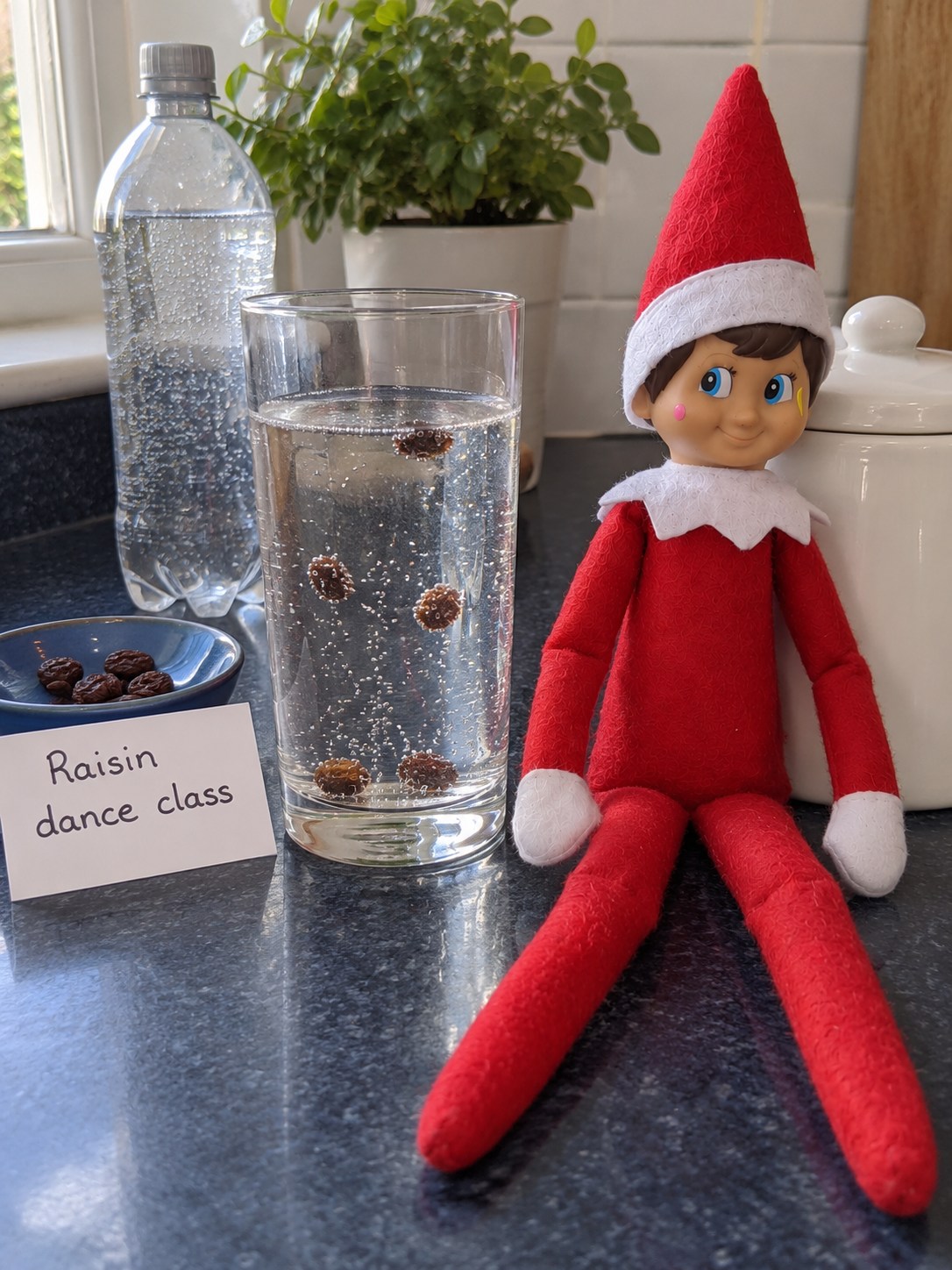 Tom's elf watching small raisins and bubbles in a glass of freshly poured fizzy water beside a Raisin dance class note.