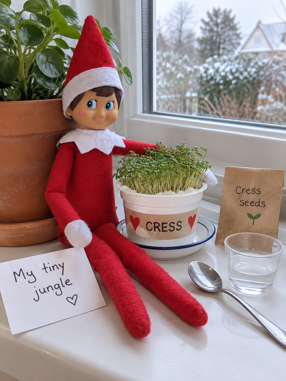 Tom’s elf beside a white reused pot of green cress shoots, a small seed envelope and a My tiny jungle note.